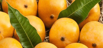 Alphonso Mango Pulp
