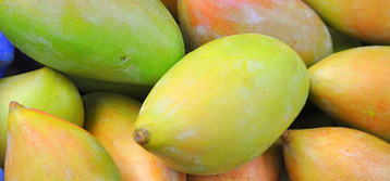 Totapuri Mango Pulp