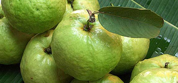 White Guava Pulp