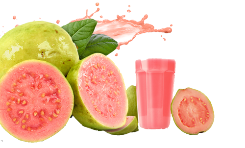 Guava Concentrate