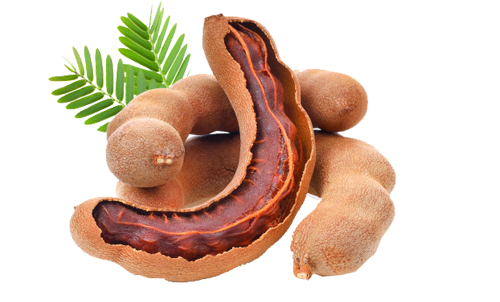 Guava Pulp