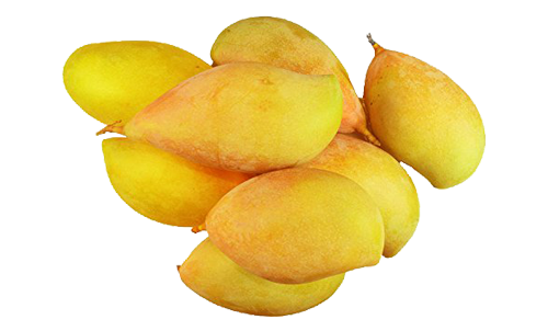Totapuri Mango Concentrate